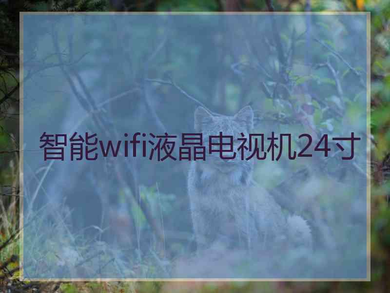 智能wifi液晶电视机24寸