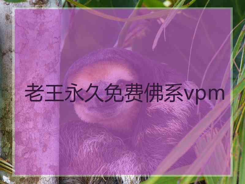 老王永久免费佛系vpm