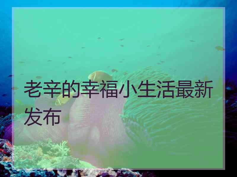 老辛的幸福小生活最新发布