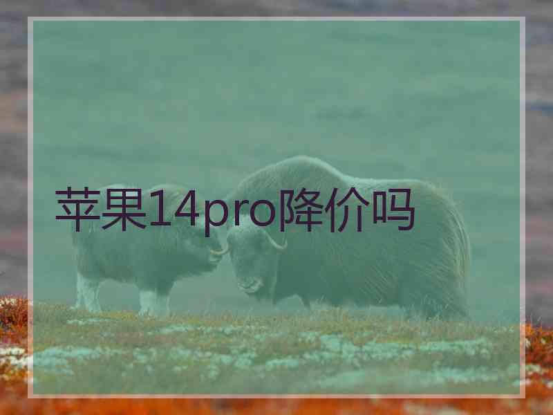 苹果14pro降价吗