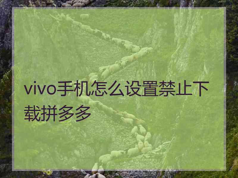 vivo手机怎么设置禁止下载拼多多