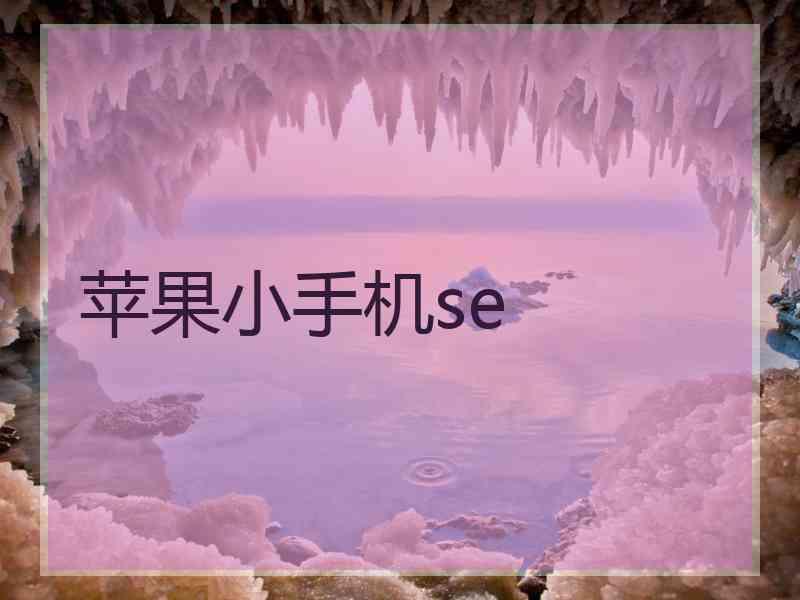 苹果小手机se