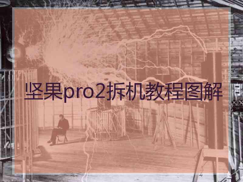 坚果pro2拆机教程图解