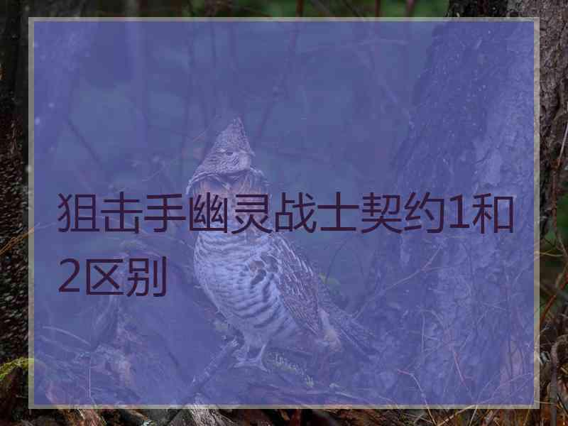 狙击手幽灵战士契约1和2区别