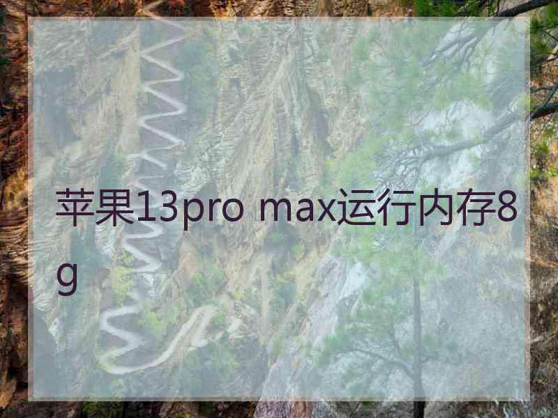 苹果13pro max运行内存8g