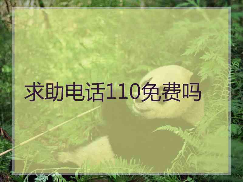 求助电话110免费吗