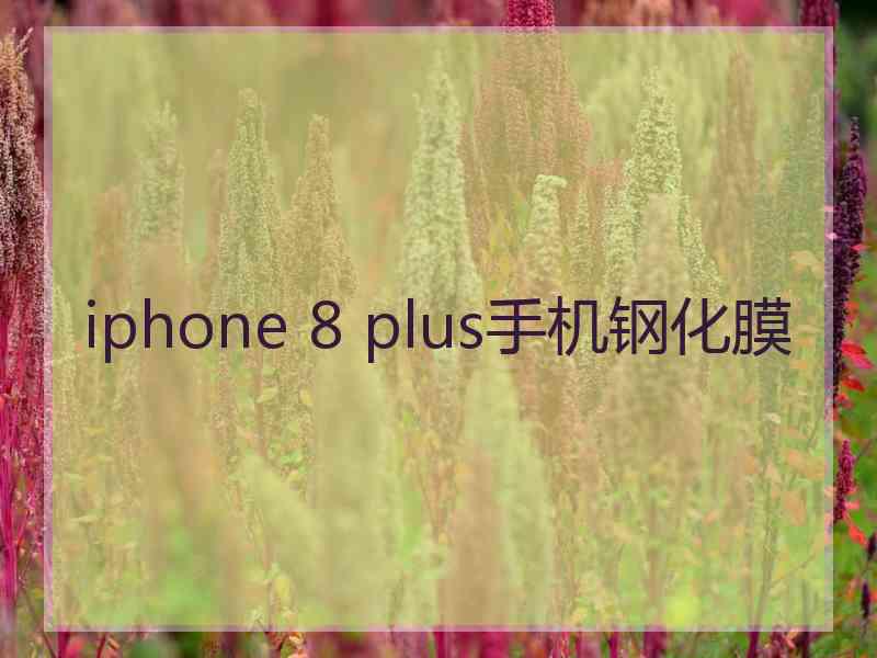 iphone 8 plus手机钢化膜