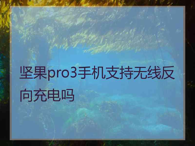 坚果pro3手机支持无线反向充电吗