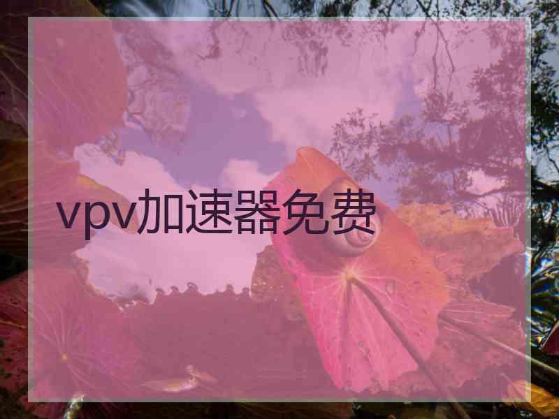 vpv加速器免费