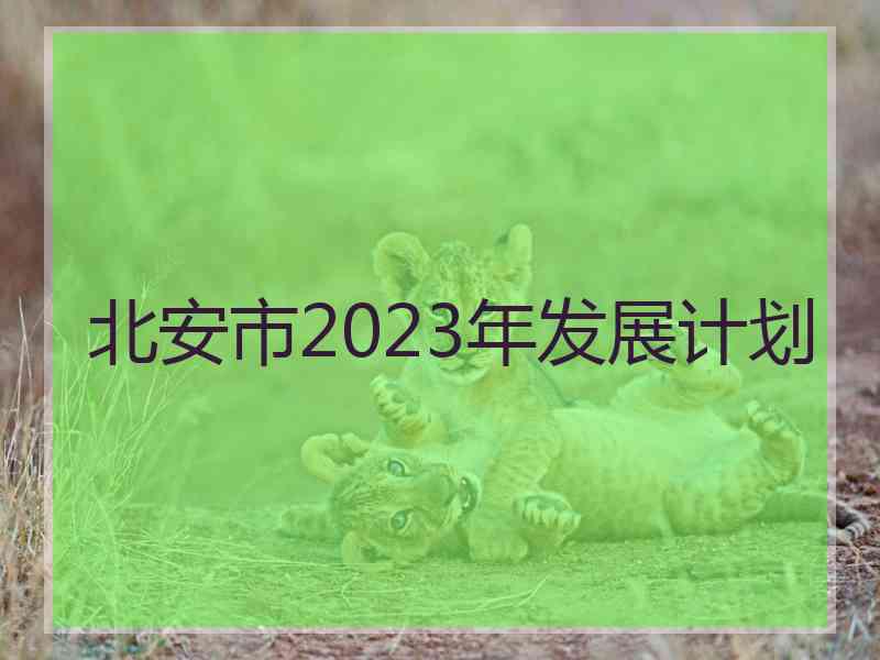 北安市2023年发展计划