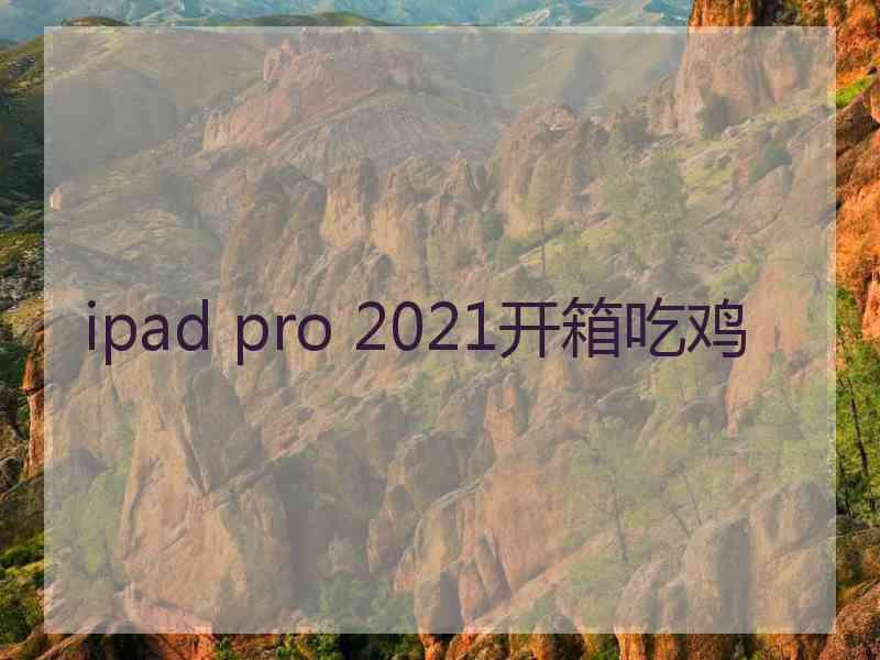 ipad pro 2021开箱吃鸡