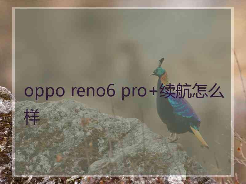 oppo reno6 pro+续航怎么样