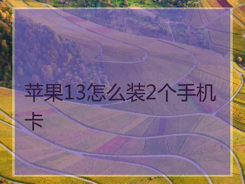 苹果13怎么装2个手机卡