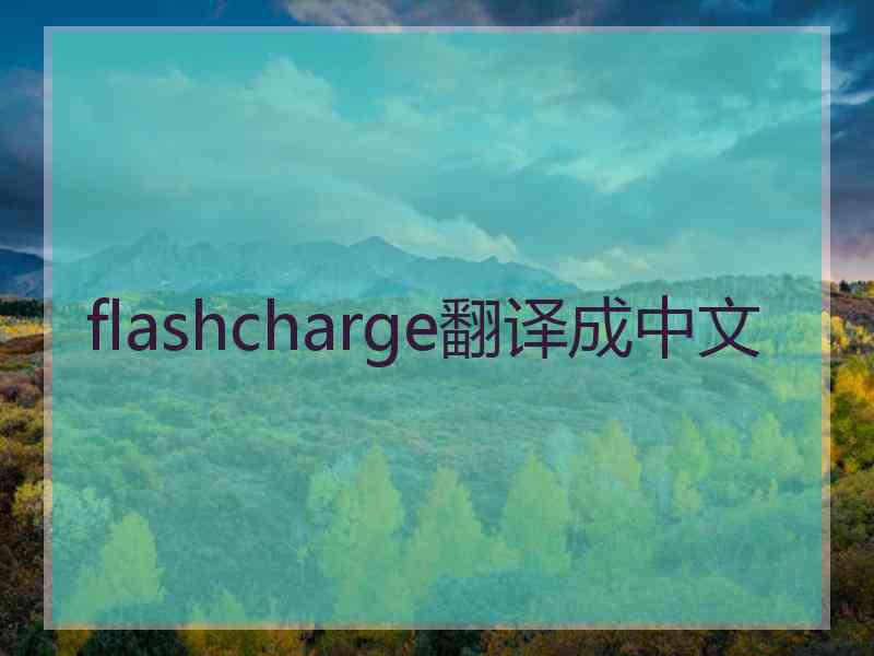 flashcharge翻译成中文