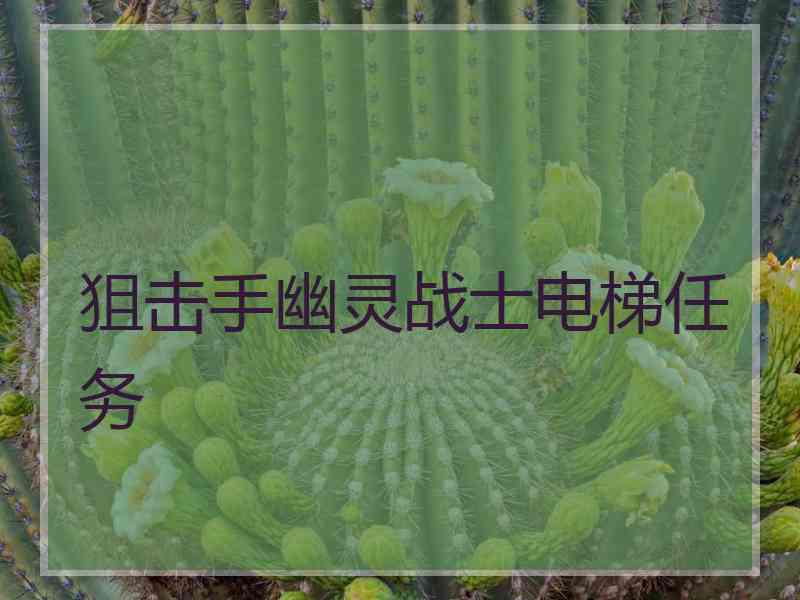 狙击手幽灵战士电梯任务