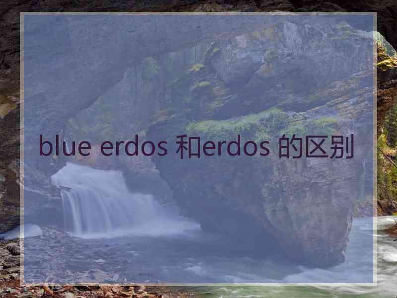 blue erdos 和erdos 的区别