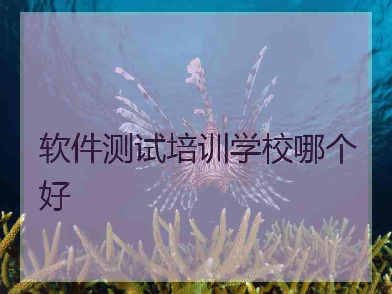 软件测试培训学校哪个好