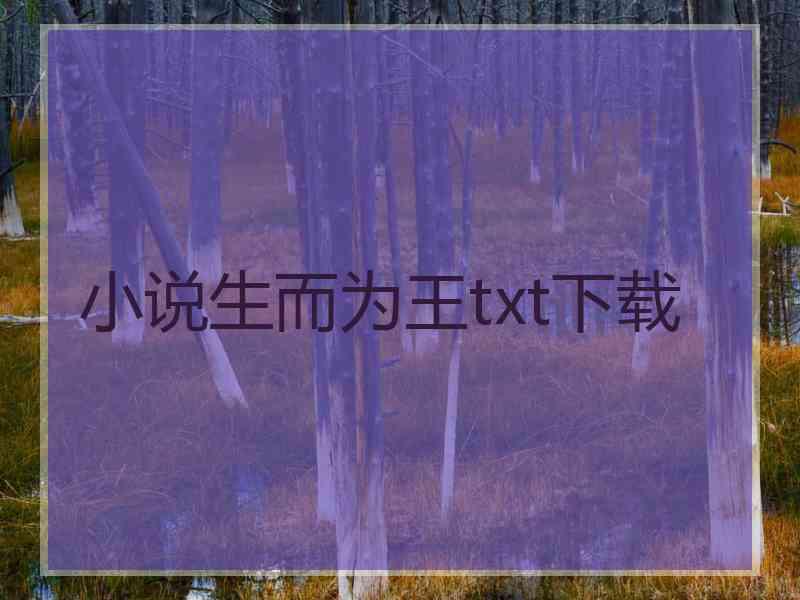 小说生而为王txt下载