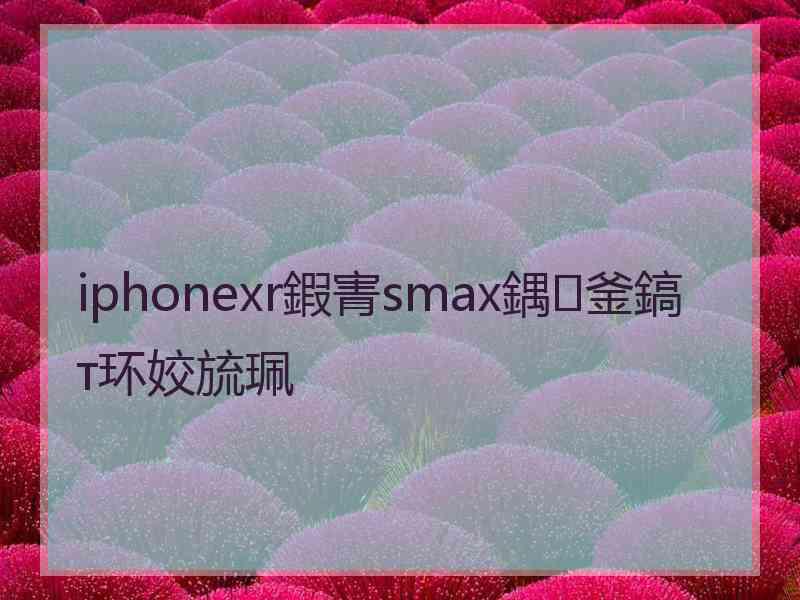 iphonexr鍜寈smax鍝釜鎬т环姣旈珮