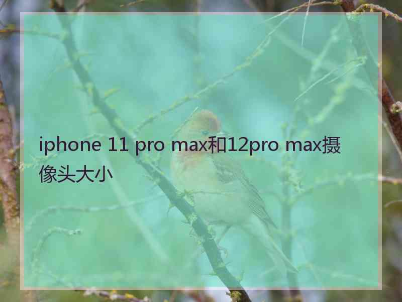 iphone 11 pro max和12pro max摄像头大小