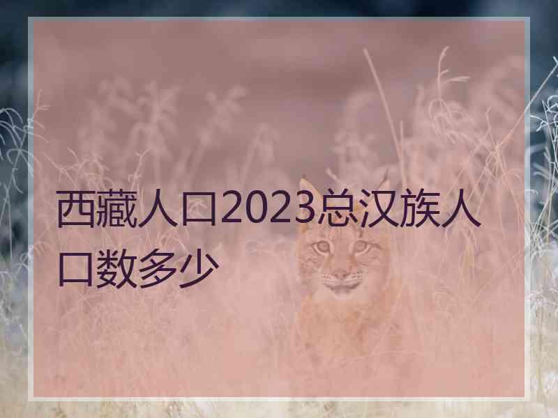 西藏人口2023总汉族人口数多少