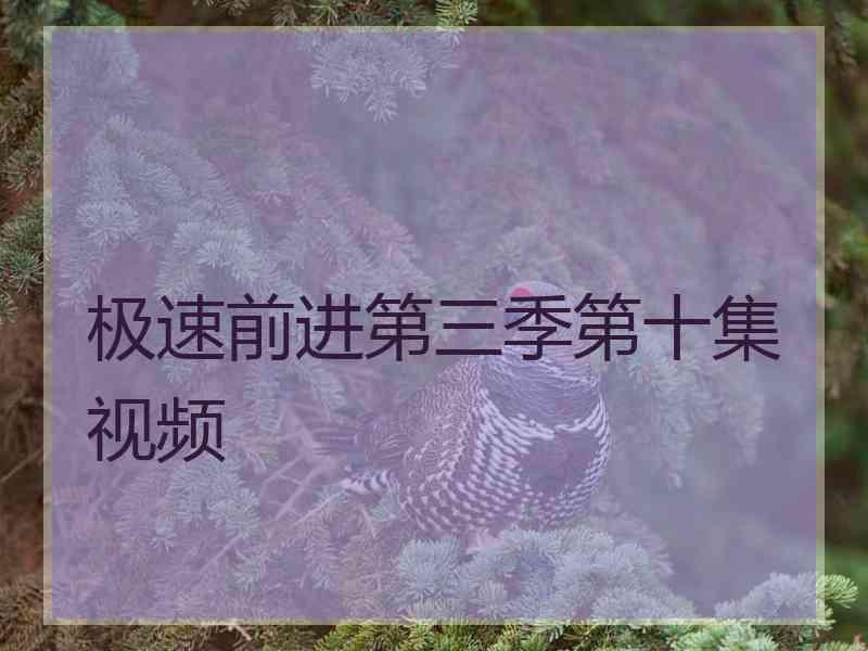 极速前进第三季第十集视频