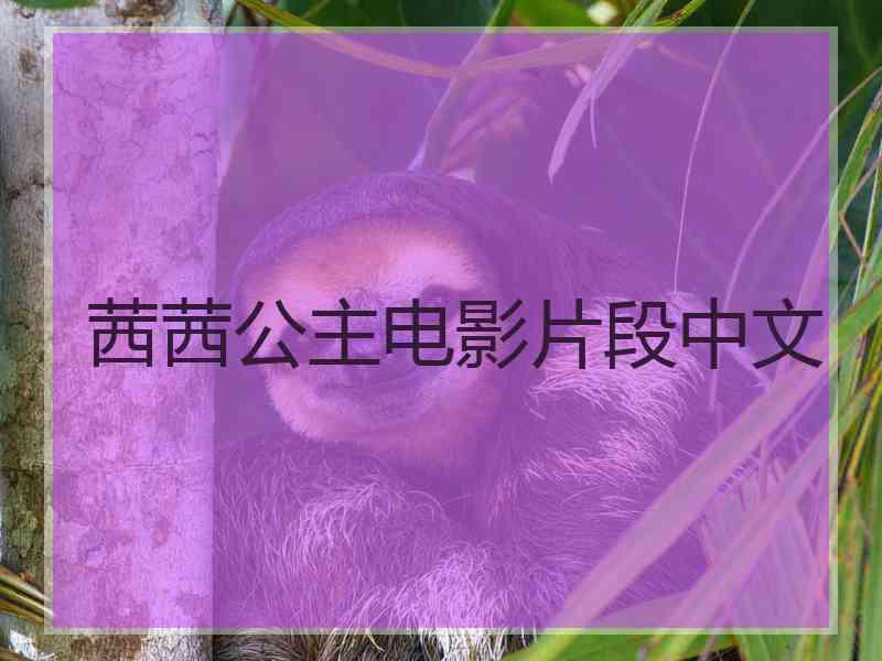 茜茜公主电影片段中文