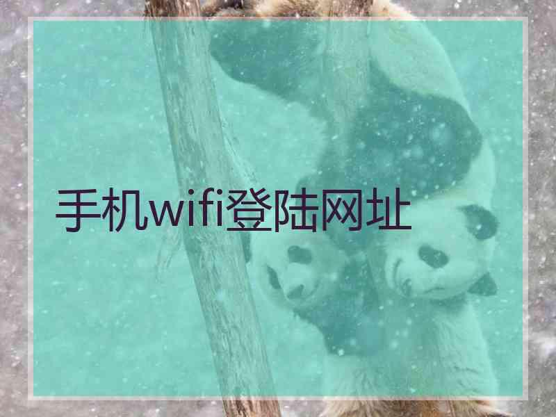 手机wifi登陆网址