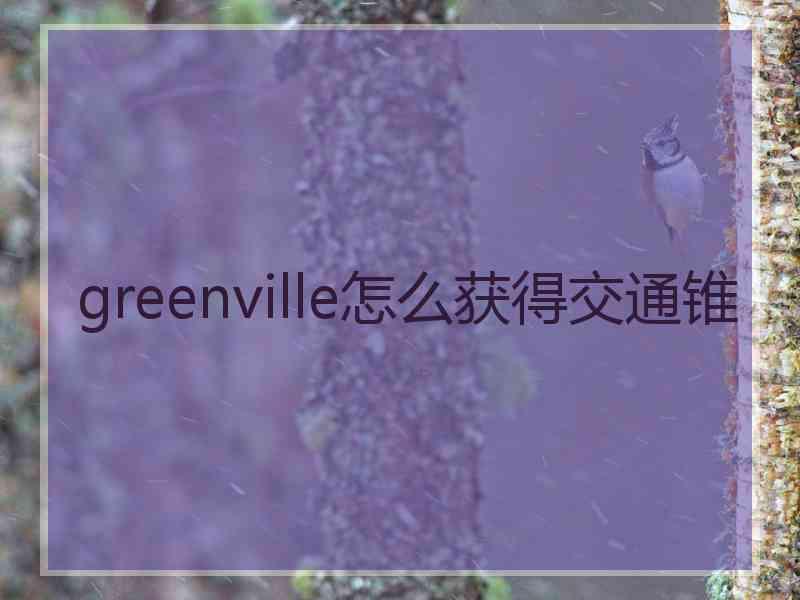 greenville怎么获得交通锥