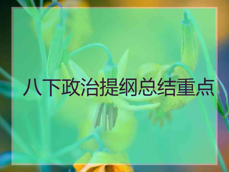 八下政治提纲总结重点