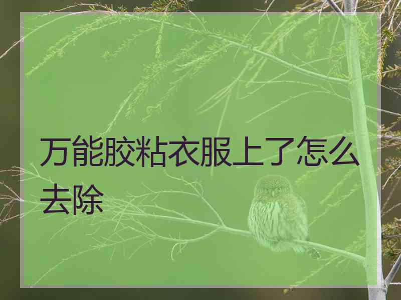 万能胶粘衣服上了怎么去除