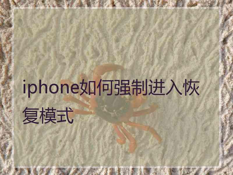 iphone如何强制进入恢复模式