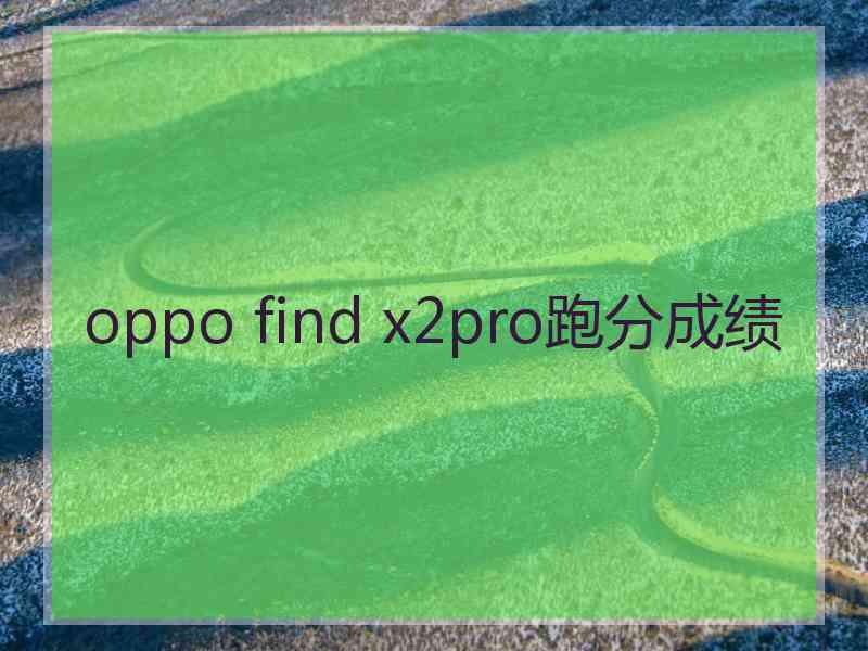 oppo find x2pro跑分成绩