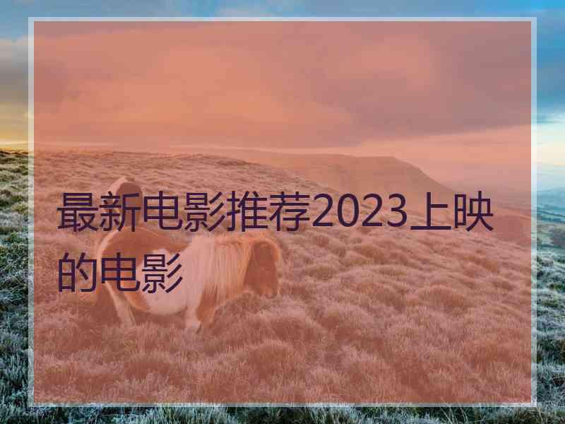 最新电影推荐2023上映的电影