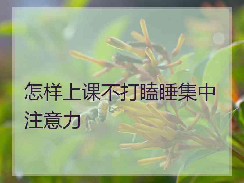 怎样上课不打瞌睡集中注意力