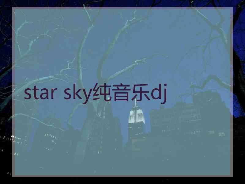 star sky纯音乐dj