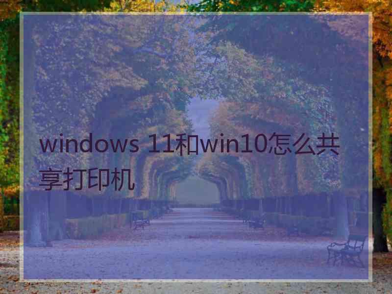 windows 11和win10怎么共享打印机