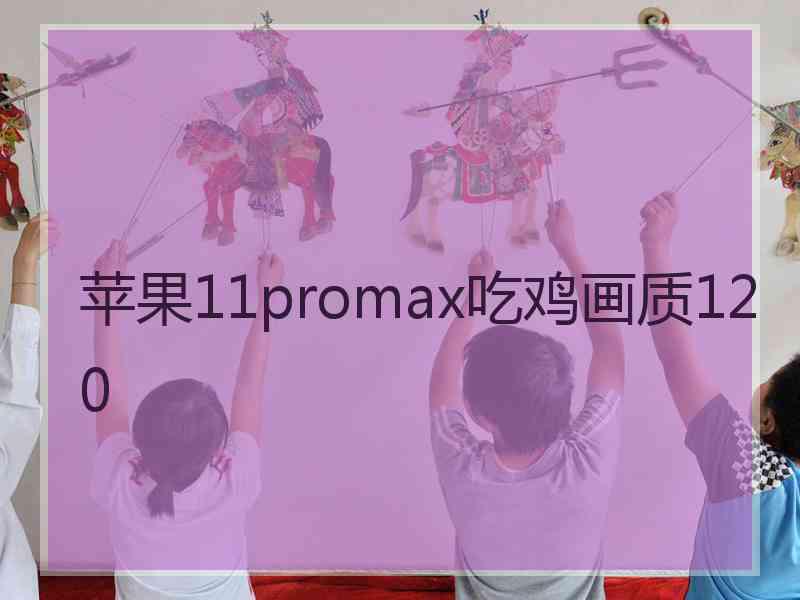 苹果11promax吃鸡画质120