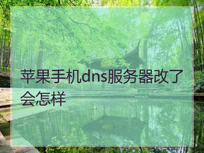 苹果手机dns服务器改了会怎样