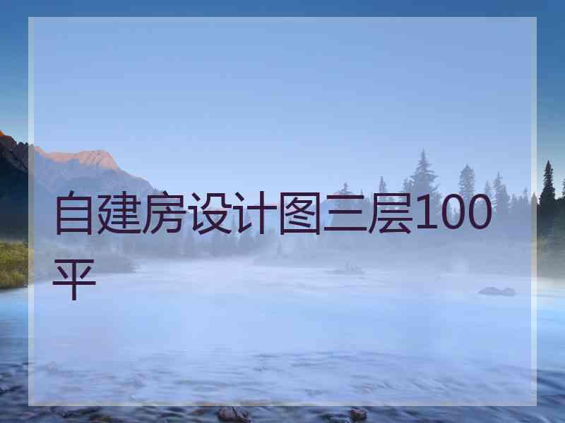 自建房设计图三层100平