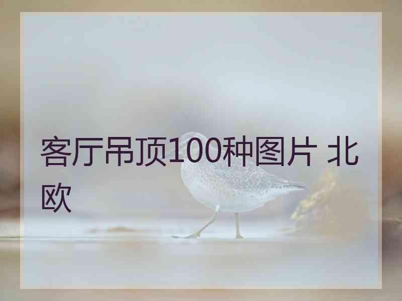 客厅吊顶100种图片 北欧