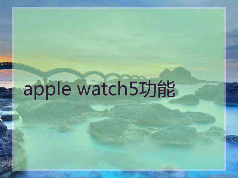 apple watch5功能