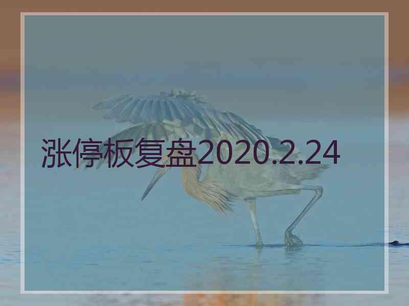 涨停板复盘2020.2.24