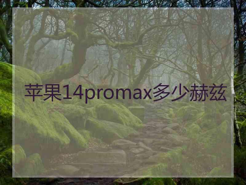 苹果14promax多少赫兹