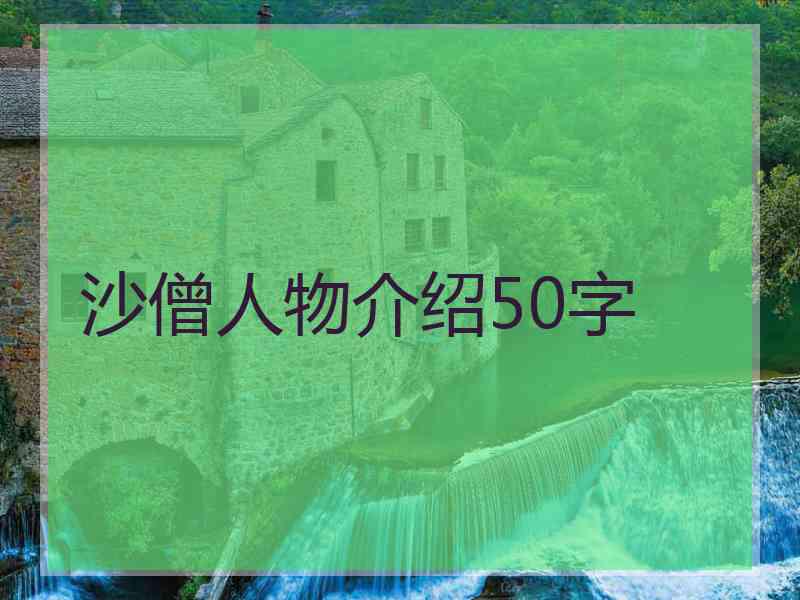 沙僧人物介绍50字