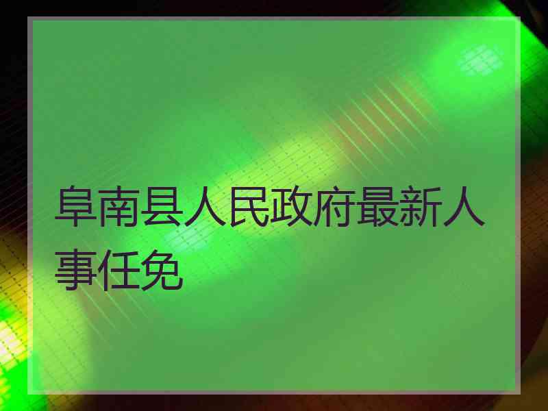 阜南县人民政府最新人事任免