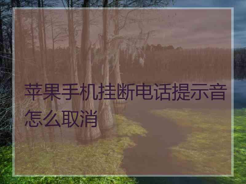 苹果手机挂断电话提示音怎么取消