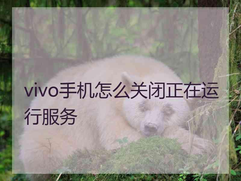 vivo手机怎么关闭正在运行服务