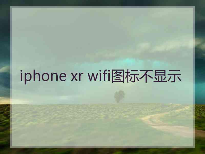 iphone xr wifi图标不显示