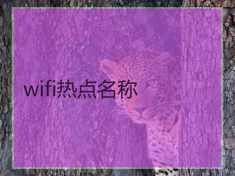 wifi热点名称